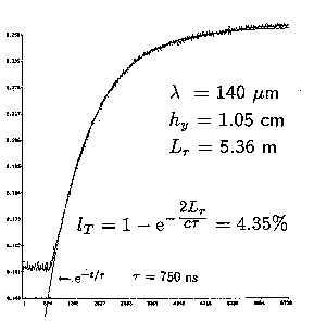 measured loss fit to an exponential